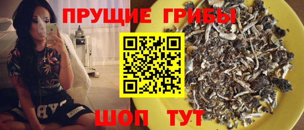 Псилоцибиновые грибы мухоморы Мирный